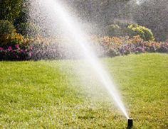 Lawn Sprinkler in a Beautiful Lawn - Sprinkler Repair Lawn Sprinkler in a Beautiful Lawn - Sprinkler Repair